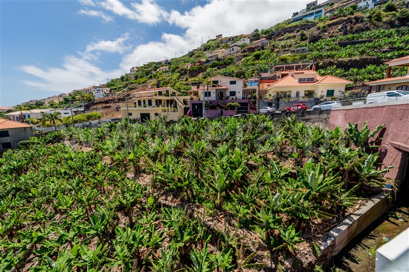 Terreno  com Vista Mar Câmara de Lobos - 1495531 - 14