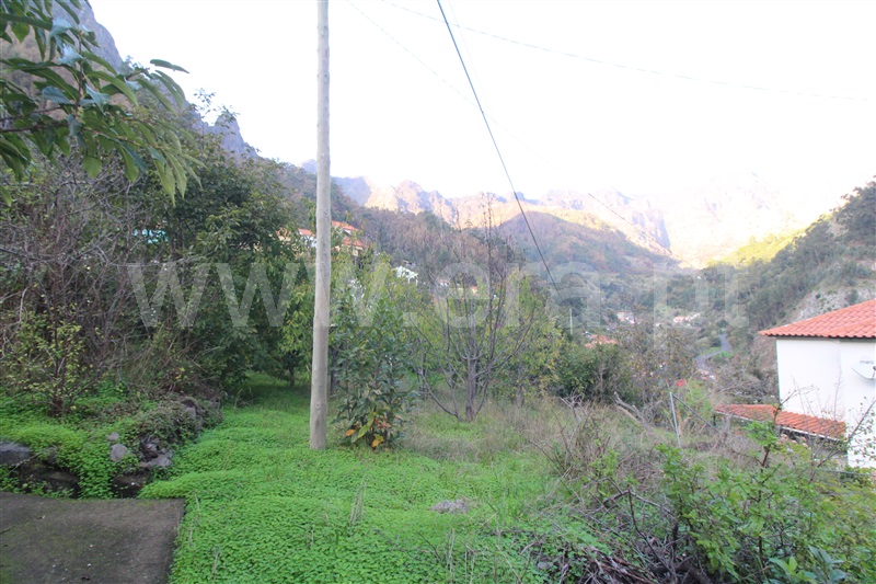 Terreno / Câmara de Lobos, Curral das Freiras