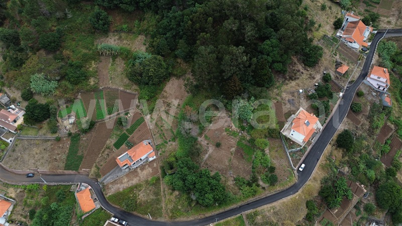 Terreno / Câmara de Lobos, Quinta Grande