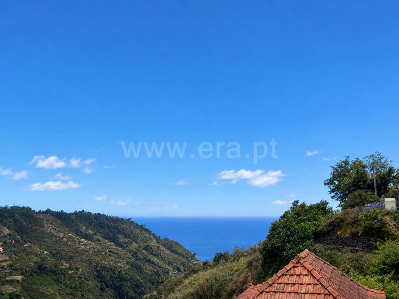 Terreno / Câmara de Lobos, Quinta Grande
