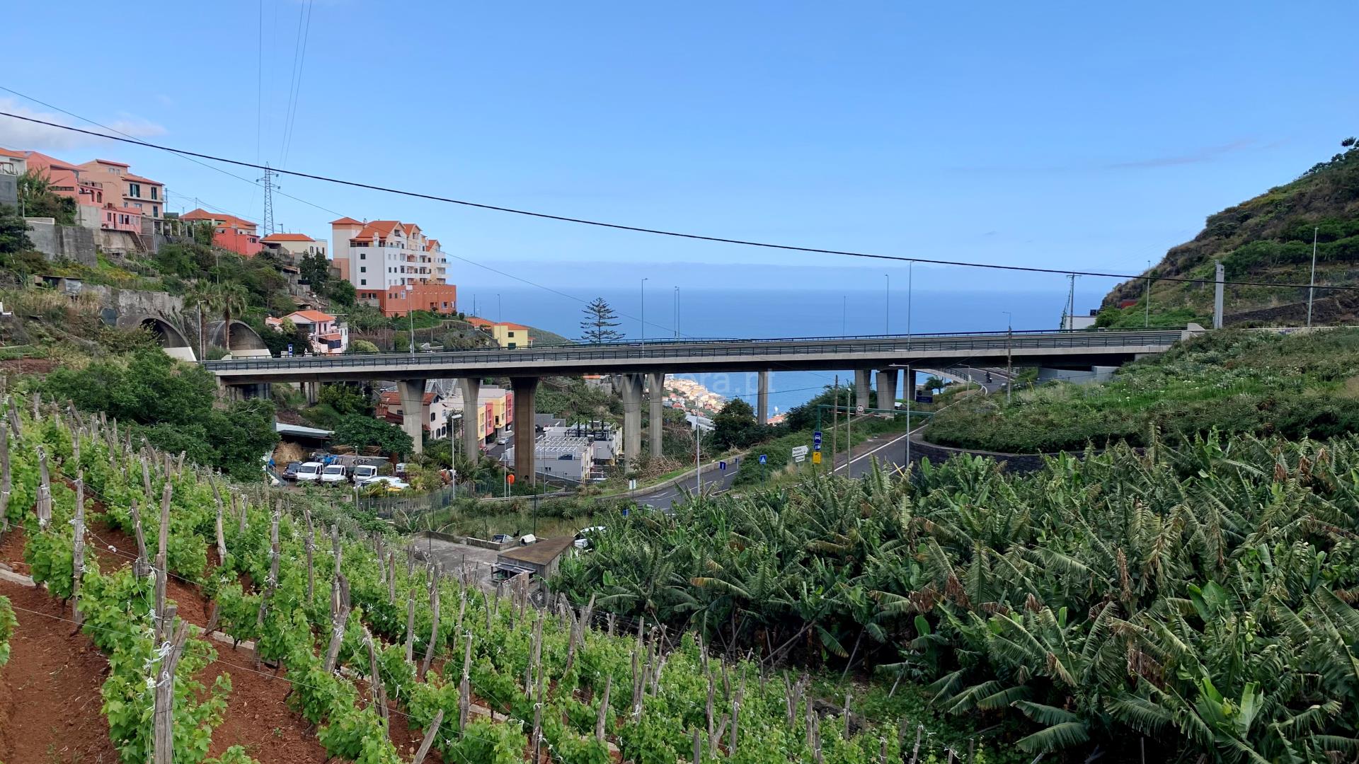 Terreno em Câmara de Lobos