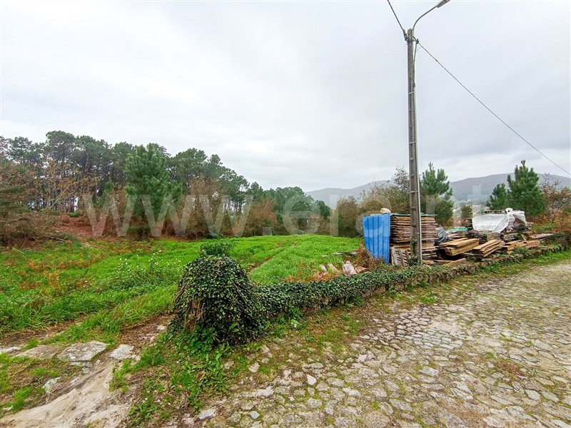 Terreno  Caminha, Âncora - 1373788 - 2