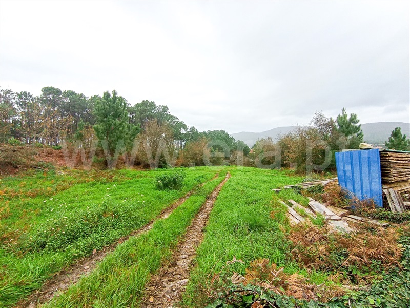 Terreno  Caminha, Âncora - 1373788 - 3
