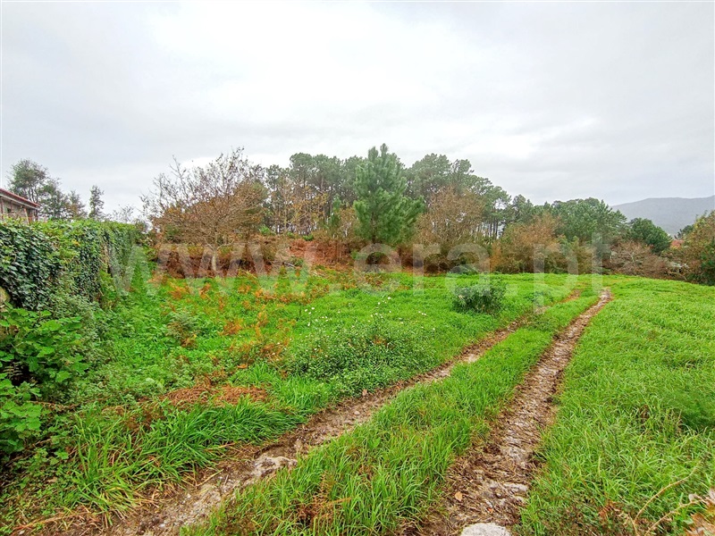 Terreno  Caminha, Âncora - 1373788 - 4