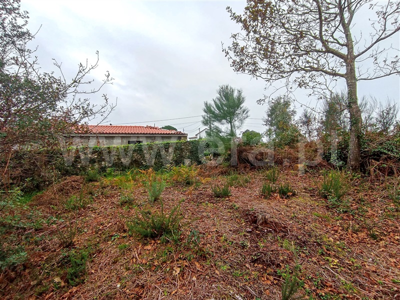 Terreno  Caminha, Âncora - 1373788 - 5