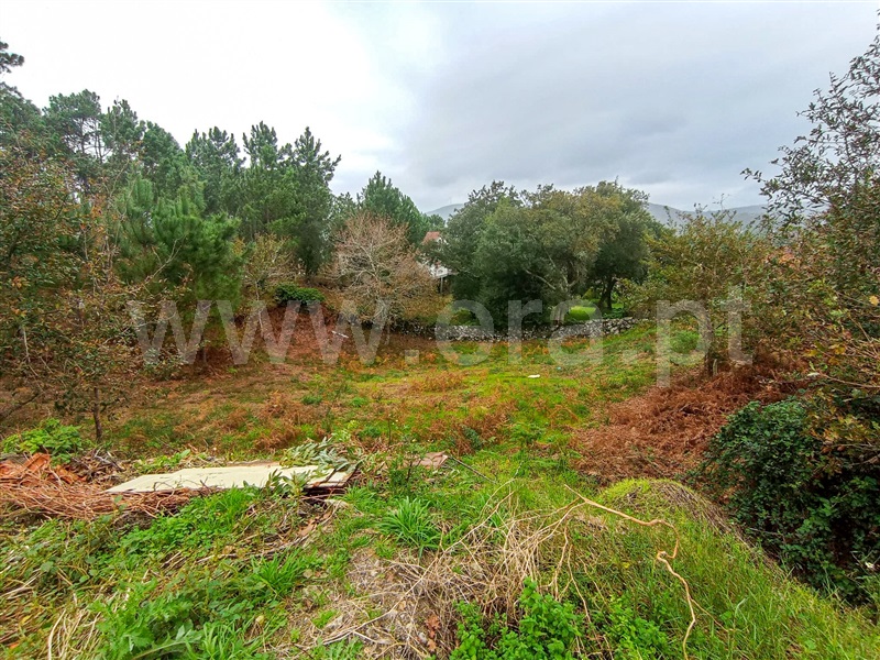 Terreno  Caminha, Âncora - 1373788 - 6
