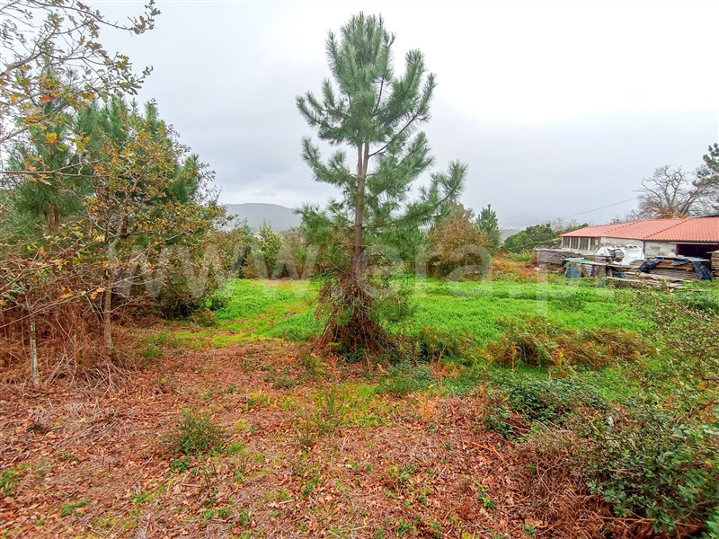 Terreno  Caminha, Âncora - 1373788 - 8