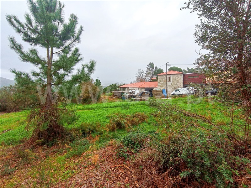 Terreno  Caminha, Âncora - 1373788 - 9