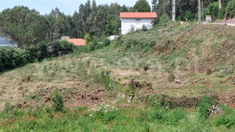 Terreno  Caminha, Moledo e Cristelo - 1498159 - 2