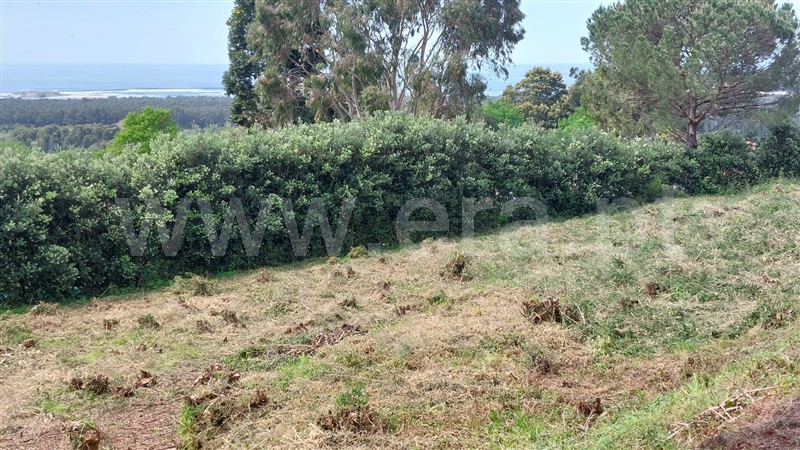 Terreno  Caminha, Moledo e Cristelo - 1498159 - 3