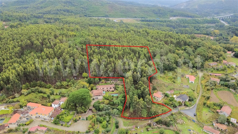 Terreno / Caminha, Riba de Âncora