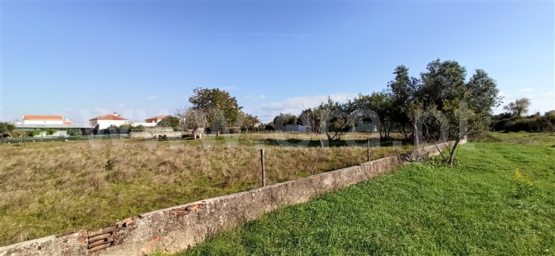 Terreno  Cantanhede, Cantanhede - 1128492 - 3