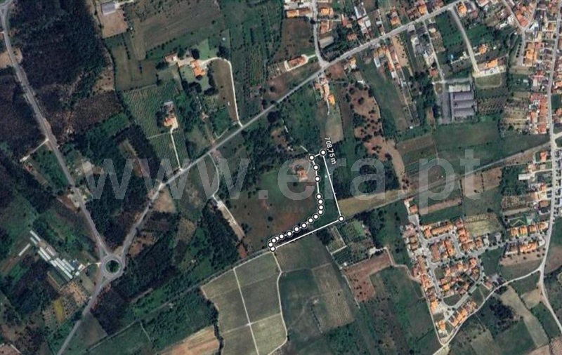 Terreno / Cantanhede, Cantanhede