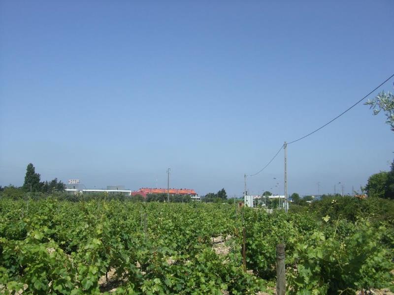 Terreno / Cantanhede, Cantanhede