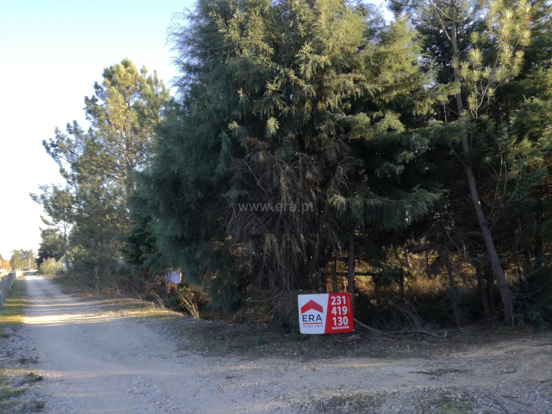 Land for sale in Cantanhede, Portugal — €350,000