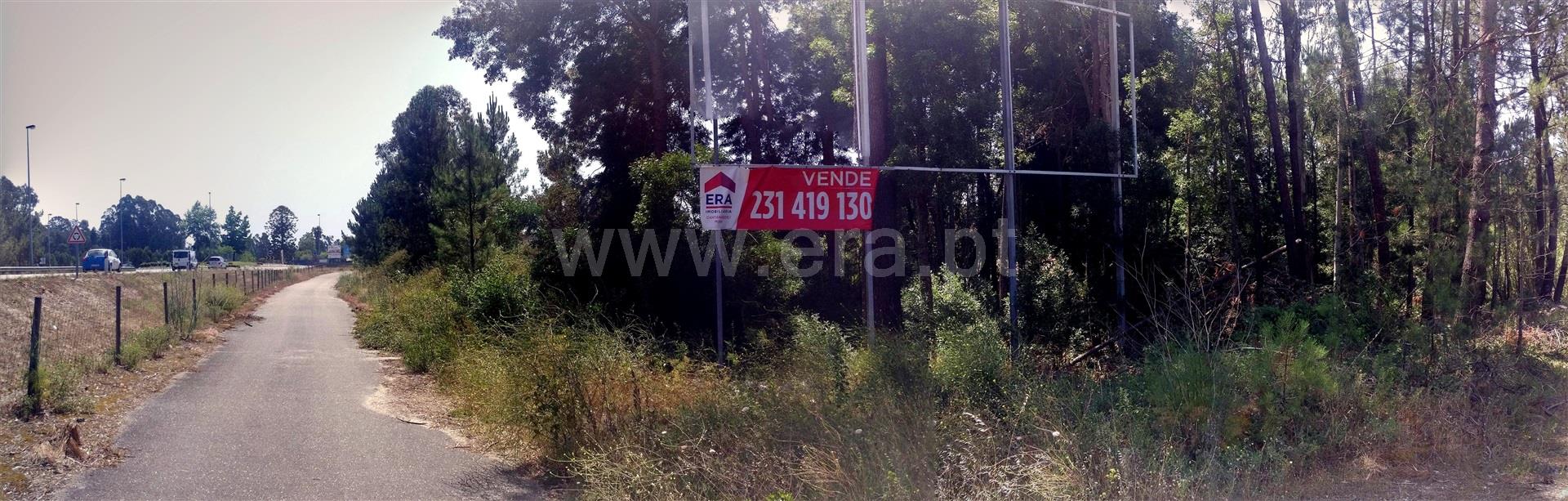 Land for sale in Cantanhede, Portugal — €195,000