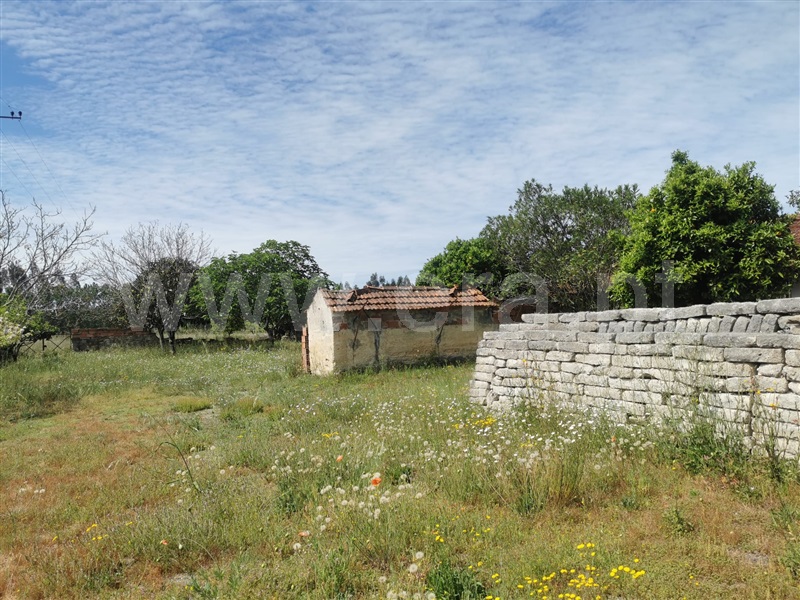Terreno  Cantanhede, Carvalheira - 1324258 - 2