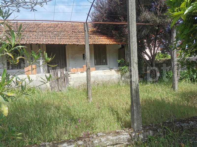 Terreno  Cantanhede, Carvalheira - 1324258 - 3