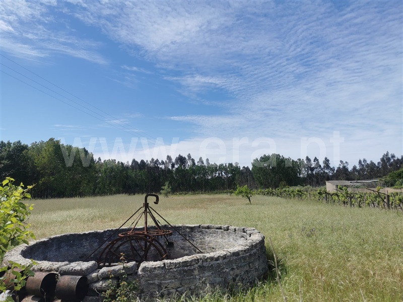 Terreno  Cantanhede, Carvalheira - 1324258 - 5