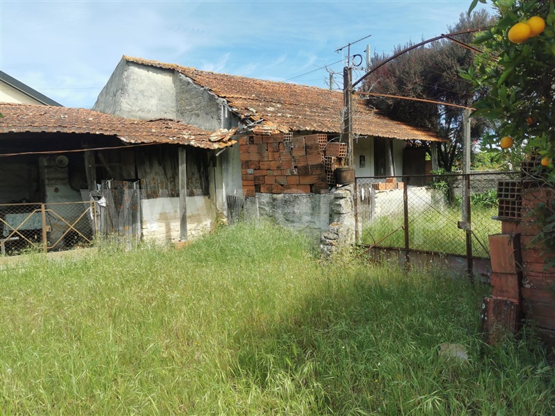 Terreno  Cantanhede, Carvalheira - 1324258 - 6