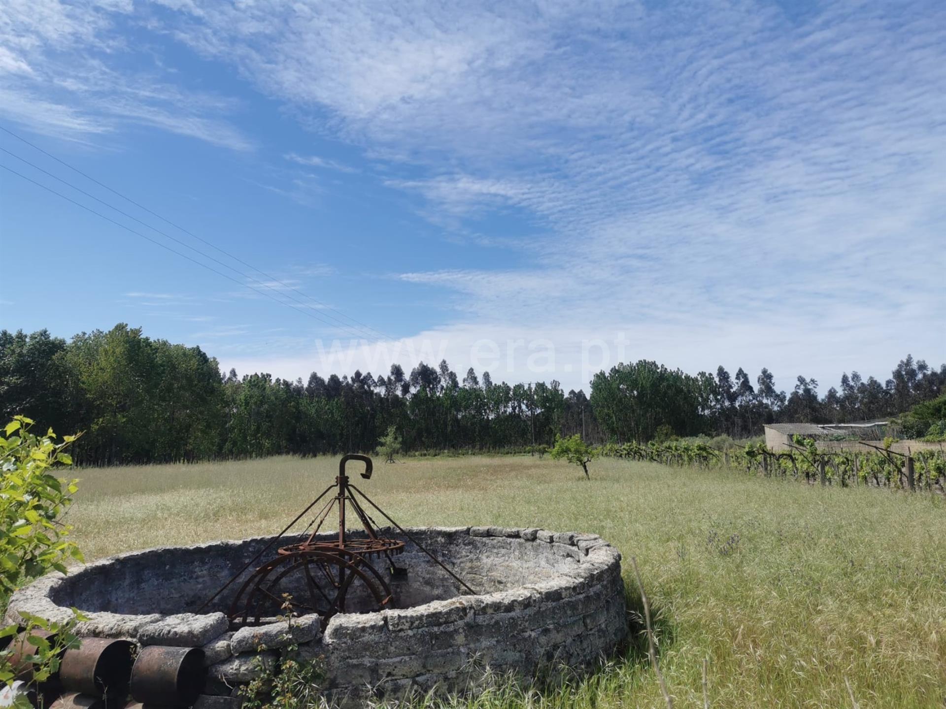 Land for sale in Cantanhede, Portugal — €77,500