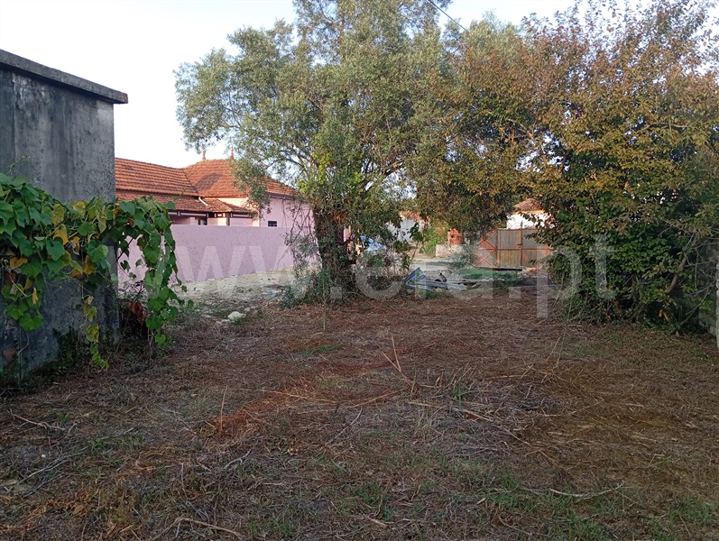 Terreno  Cantanhede, Chorosa - 1414852 - 3