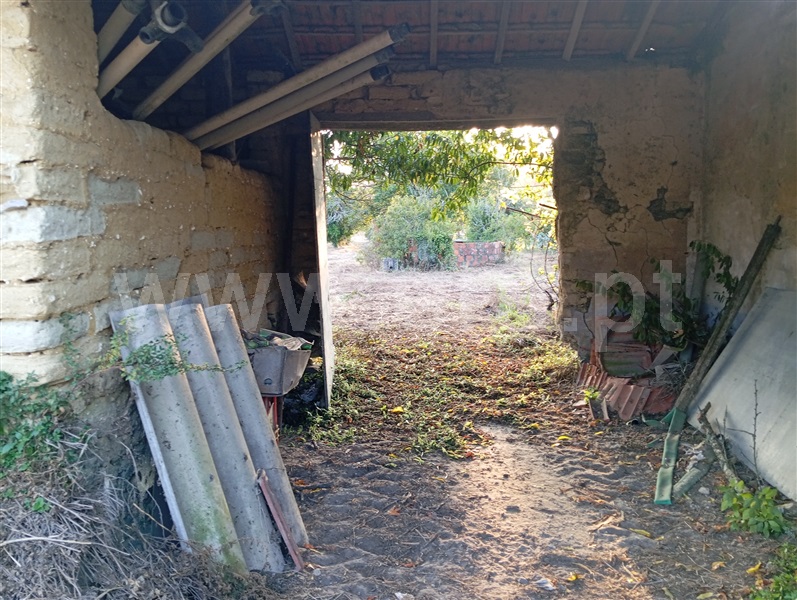 Terreno  Cantanhede, Chorosa - 1414852 - 4