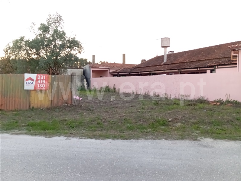Terreno / Cantanhede, Chorosa