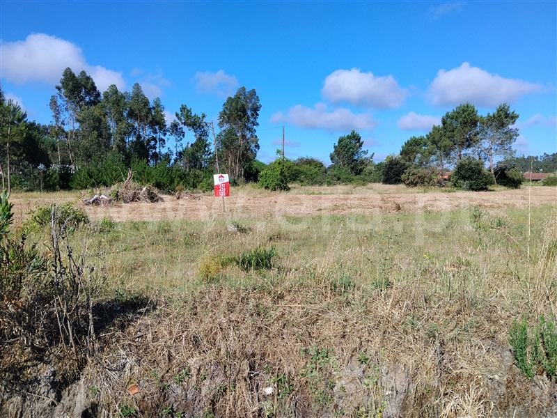 Terreno / Cantanhede, Chorosa