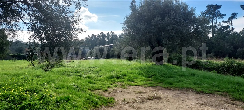 Terreno  Cantanhede, Cordinhã - 1448507 - 2