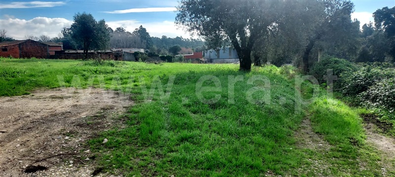 Terreno  Cantanhede, Cordinhã - 1448507 - 3