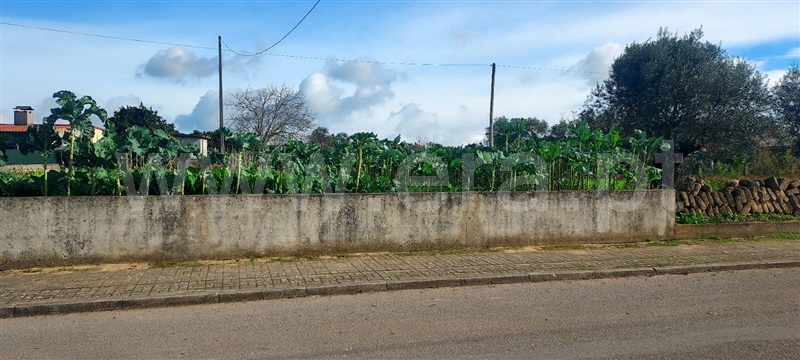 Terreno  Cantanhede, Cordinhã - 1448508 - 2
