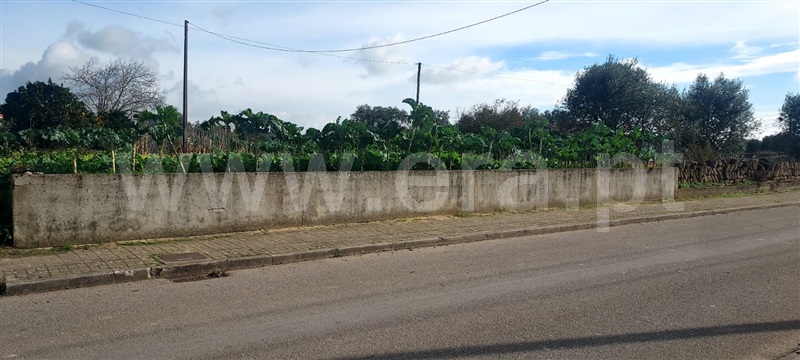 Terreno  Cantanhede, Cordinhã - 1448508 - 3