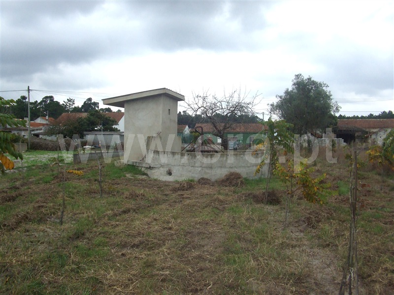 Terreno  Cantanhede, Corticeiro de Cima - 87371 - 2