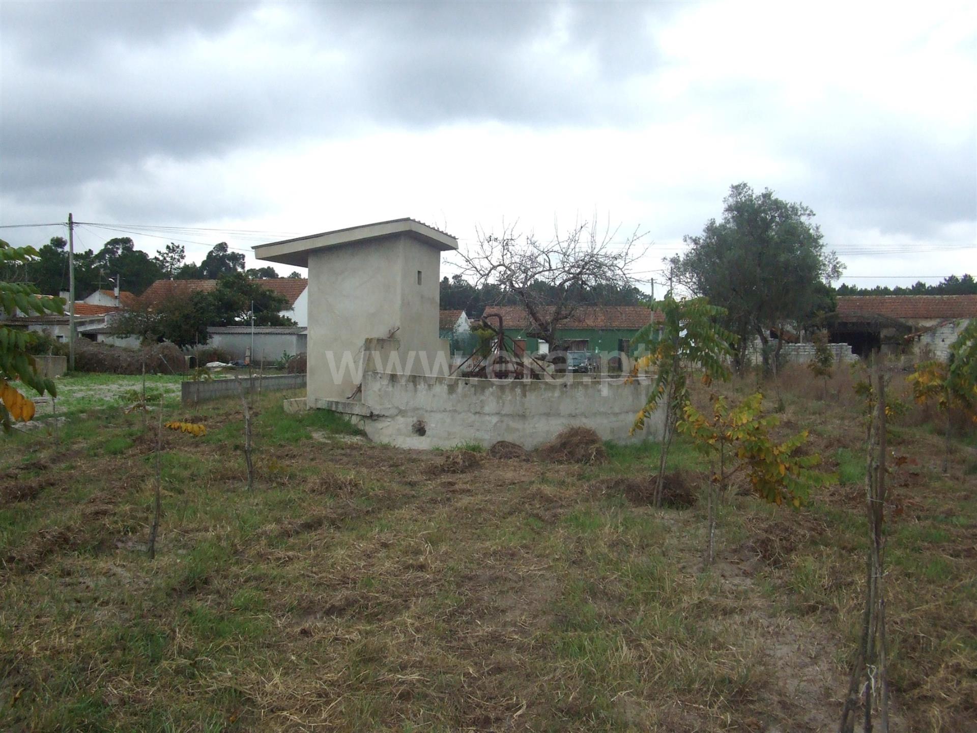 Land for sale in Cantanhede, Portugal — €70,000