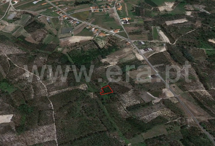 Terreno / Cantanhede, Covões e Camarneira