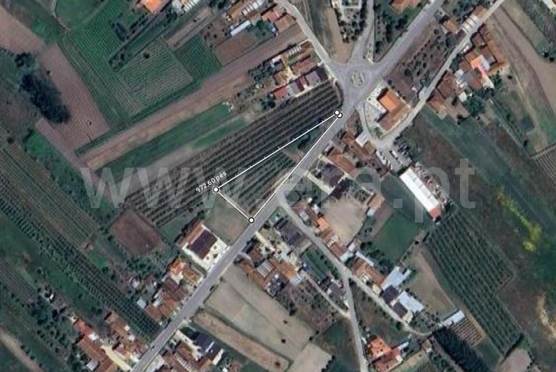 Terreno  Cantanhede, Covões e Camarneira - 1441365 - 1