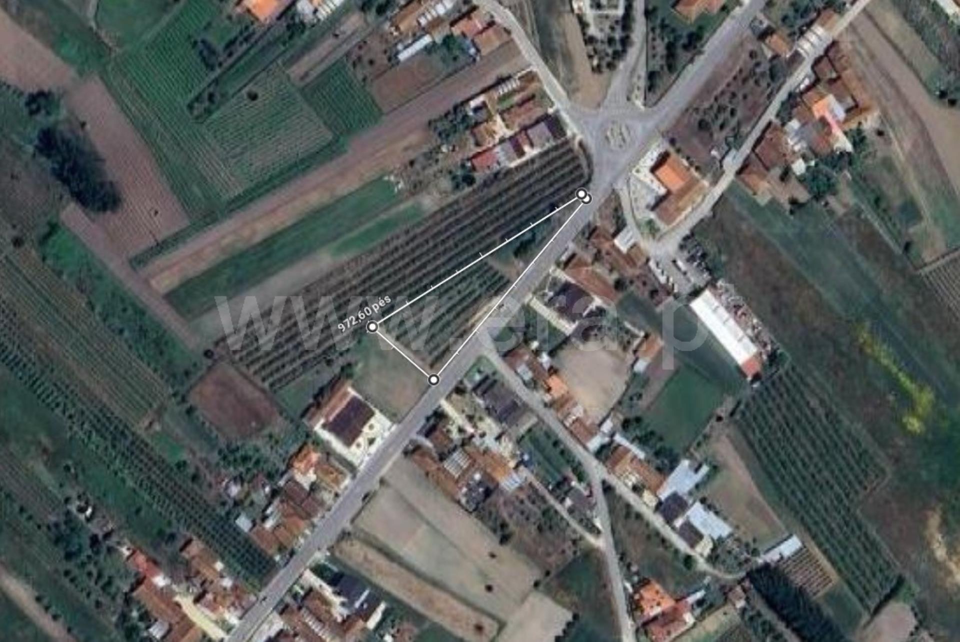 Land for sale in Cantanhede, Portugal — €55,000
