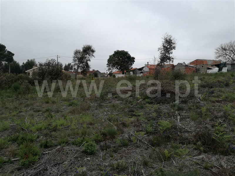 Terreno  Cantanhede, Criação - 1005211 - 2