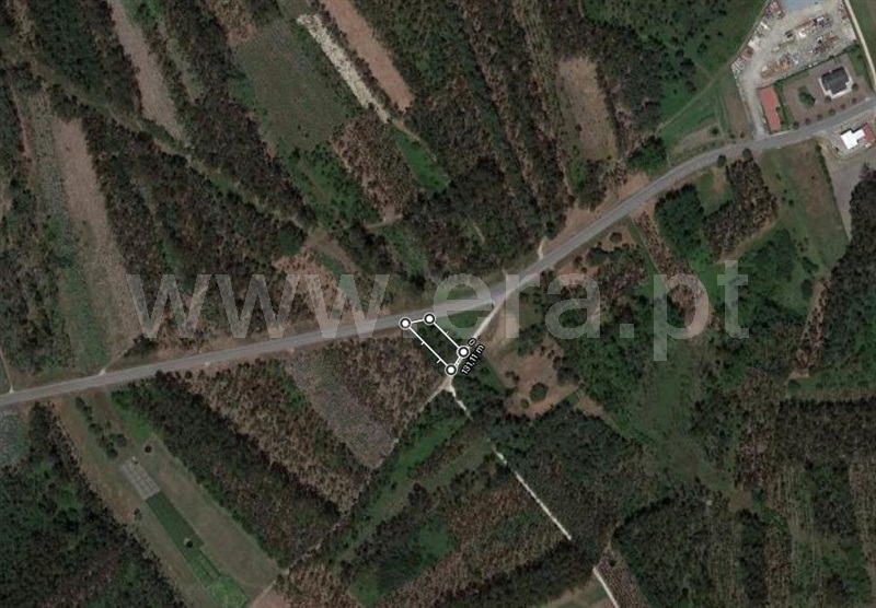 Terreno / Cantanhede, Febres