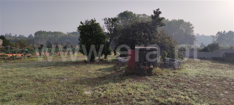 Terreno  Cantanhede, Lagoas - 1278283 - 2