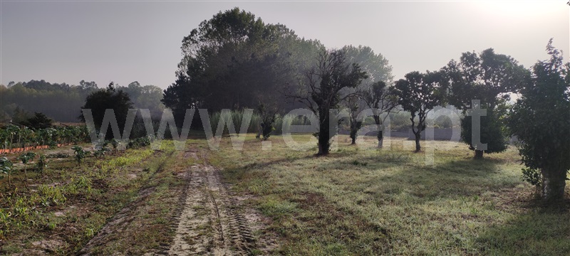 Terreno  Cantanhede, Lagoas - 1278283 - 3