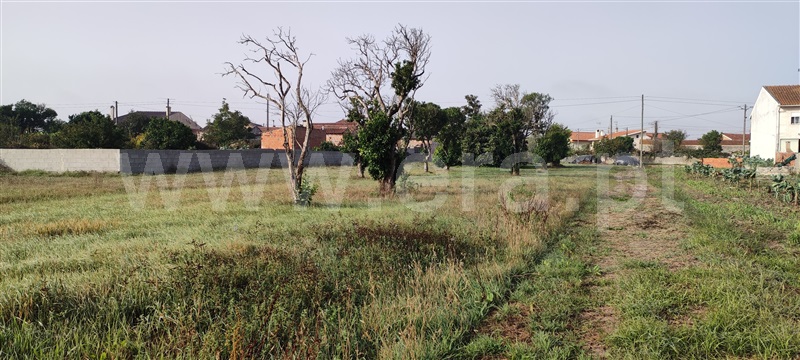 Terreno  Cantanhede, Lagoas - 1278283 - 4