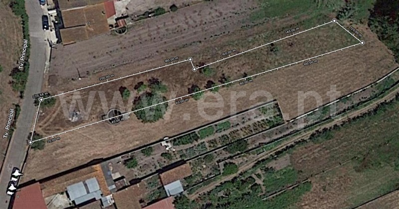 Terreno  Cantanhede, Lagoas - 1278283 - 6