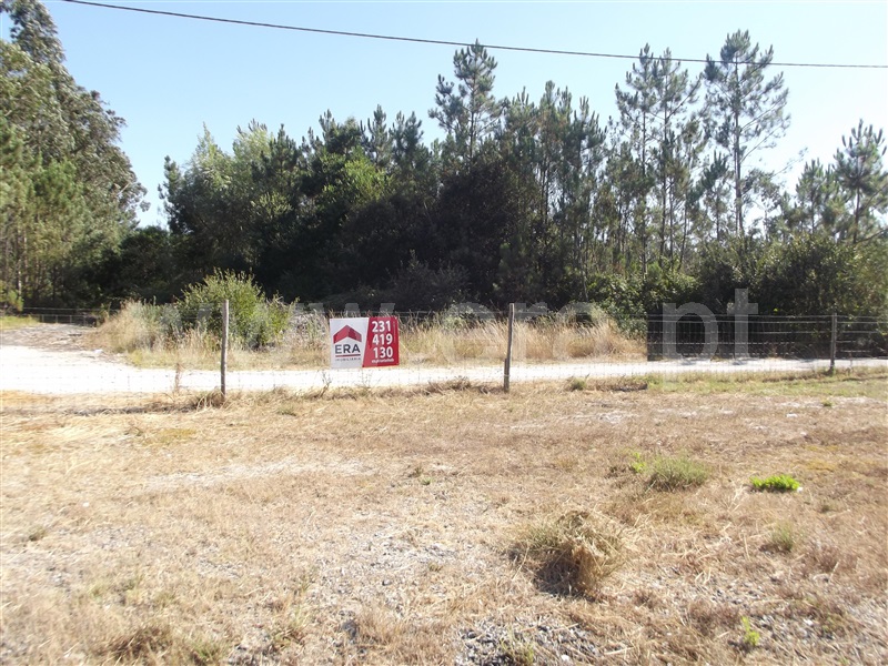 Terreno / Cantanhede, Febres