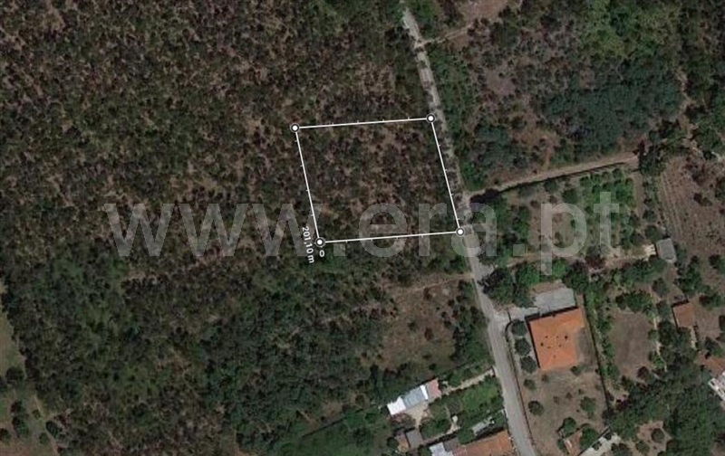 Terreno / Cantanhede, Lemede