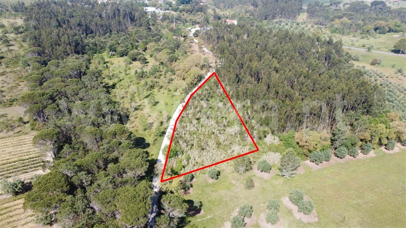 Terreno  Cantanhede, Lemede - 1351310 - 3