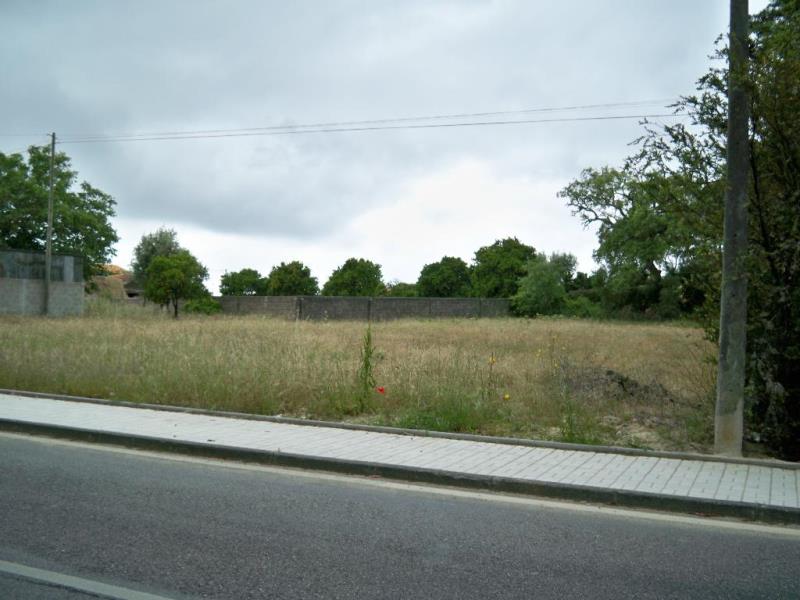 Terreno / Cantanhede, Lemede