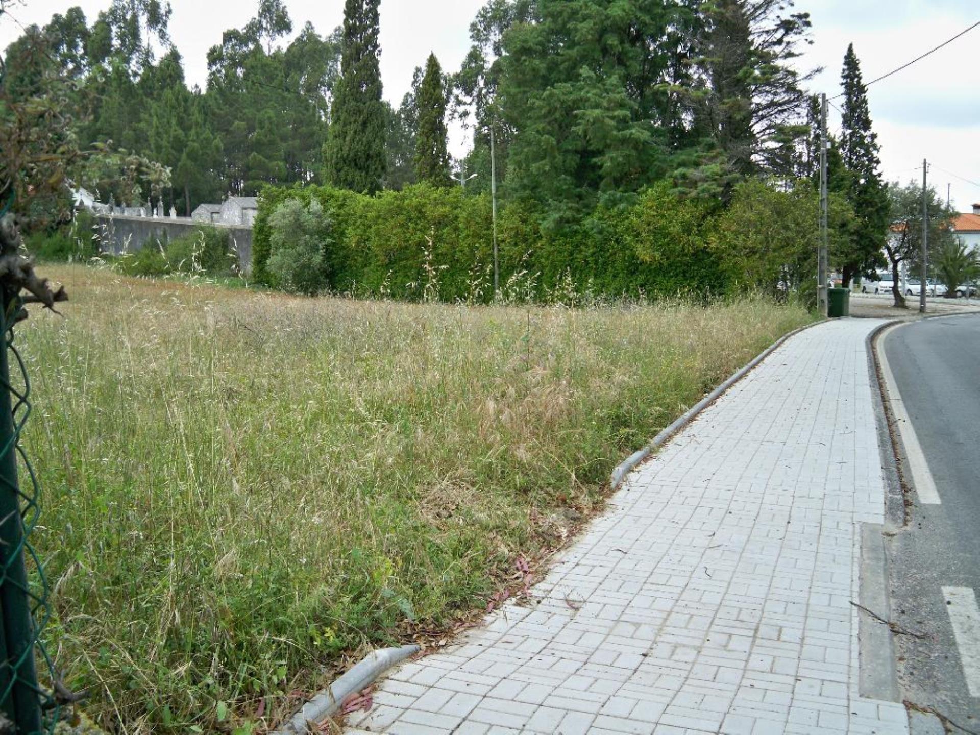 Land for sale in Cantanhede, Portugal — €51,500