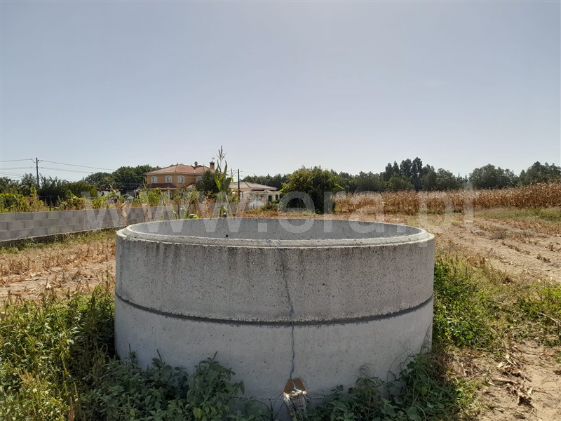 Terreno  Cantanhede, Marvão - 1362040 - 2